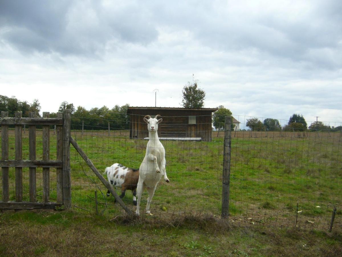 Appartement Le Domaine Des Libellules Proche Walibi Corbelin Bagian luar foto